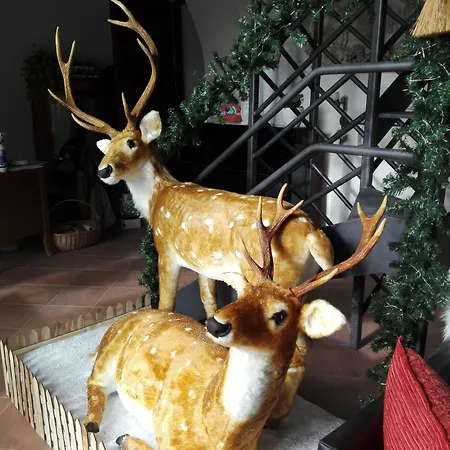 Residenza Storica Le Civette ホテル